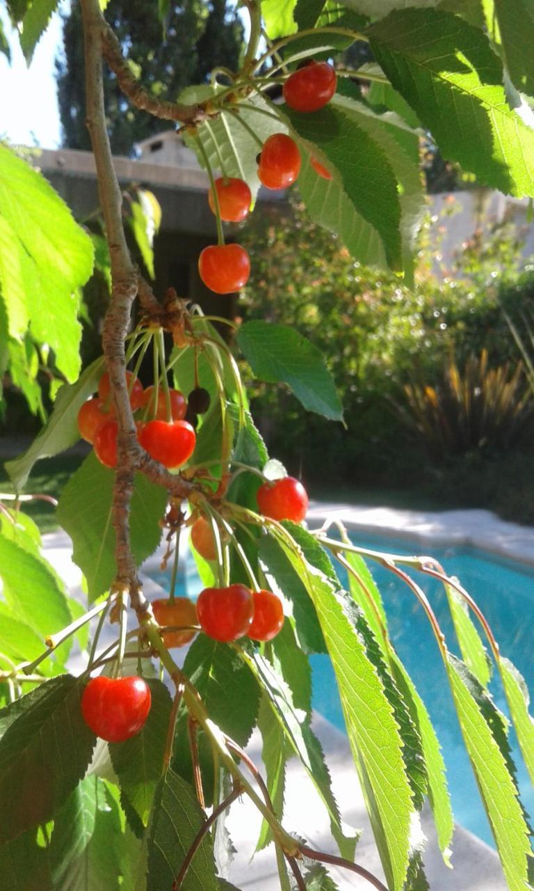 Casa Los Cerezos En ชากราส เด โกเรีย ภายนอก รูปภาพ